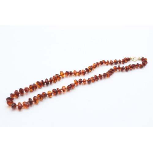 1030 - An amber beaded single strand necklace with 9ct gold clasp - approx. gross weight 10.6 grams