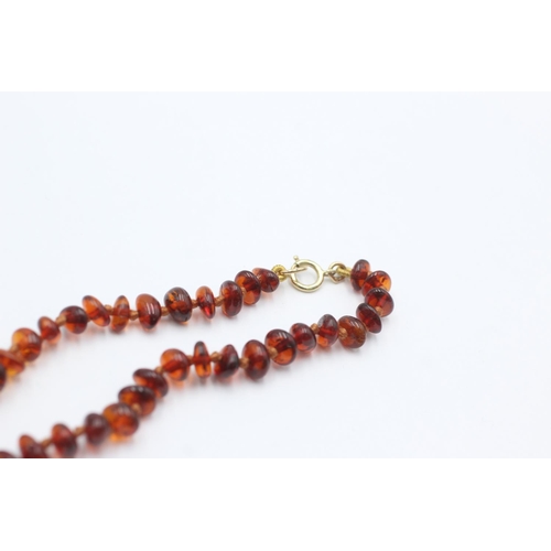 1030 - An amber beaded single strand necklace with 9ct gold clasp - approx. gross weight 10.6 grams