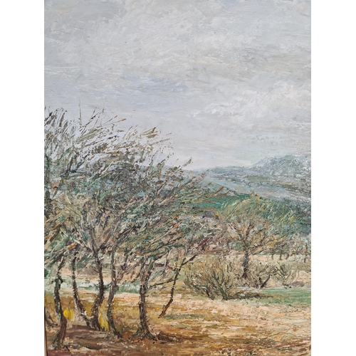 161 - A framed oil on board of a landscape scene, signed lower right E. Chiverton - approx. 77cm wide x 59... 