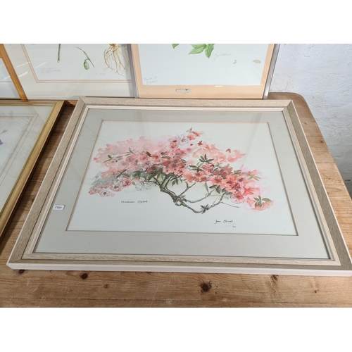 179 - Six framed floral watercolours to include four signed Joan Wilkinson etc.