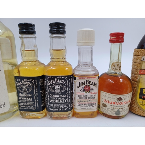 605 - Nine miniatures to include 20cl Williams pear Schnaps, 10cl Bärenjäger German honey vodka liqueur, C... 