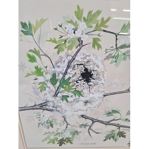 156 - A 1970s framed Michelle Oates Long Tailed Tits watercolour - approx. 63cm wide x 53cm high