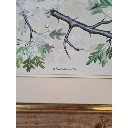 156 - A 1970s framed Michelle Oates Long Tailed Tits watercolour - approx. 63cm wide x 53cm high