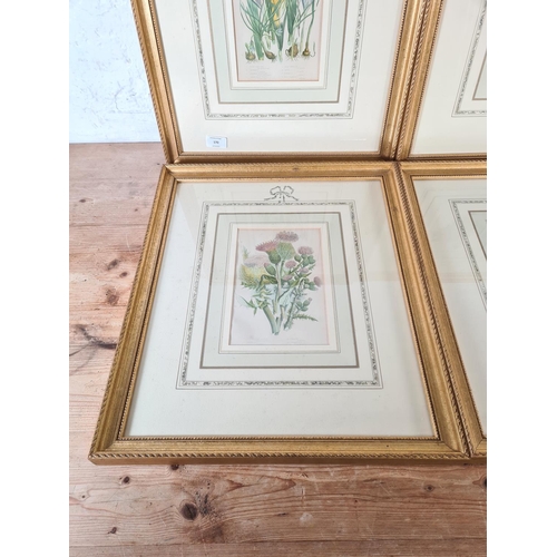 170 - Four framed botanical prints - approx. 52cm high x 43cm wide