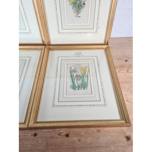 170 - Four framed botanical prints - approx. 52cm high x 43cm wide