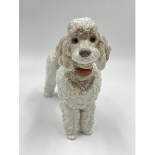 270 - A Lladro Poodle figurine - approx. 14.5cm high