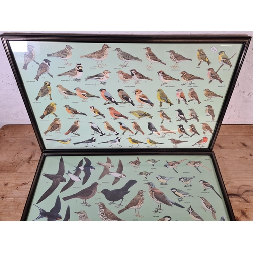 235 - Two framed 1980s RSBP bird prints - approx. 90cm wide x 57cm high