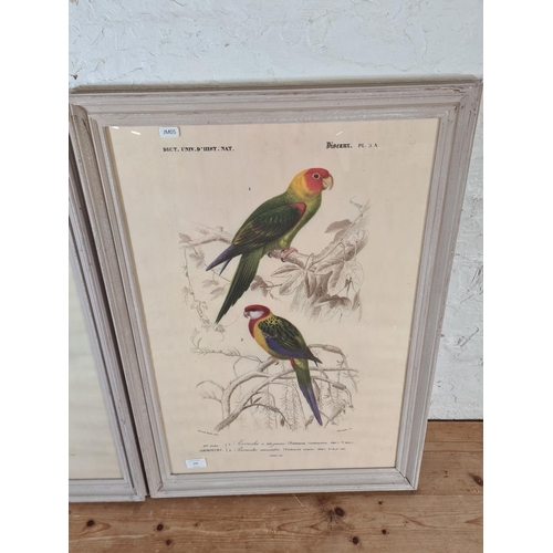 236 - Two framed bird prints - approx. 71cm high x 53cm wide