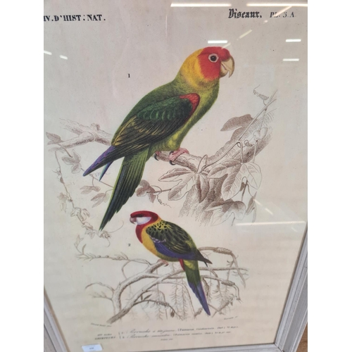 236 - Two framed bird prints - approx. 71cm high x 53cm wide