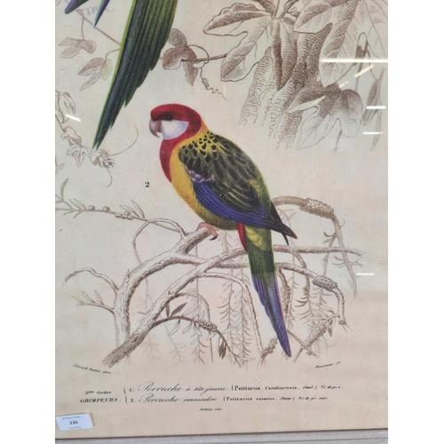 236 - Two framed bird prints - approx. 71cm high x 53cm wide