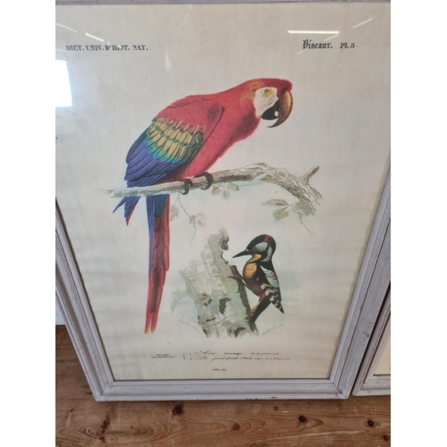 236 - Two framed bird prints - approx. 71cm high x 53cm wide