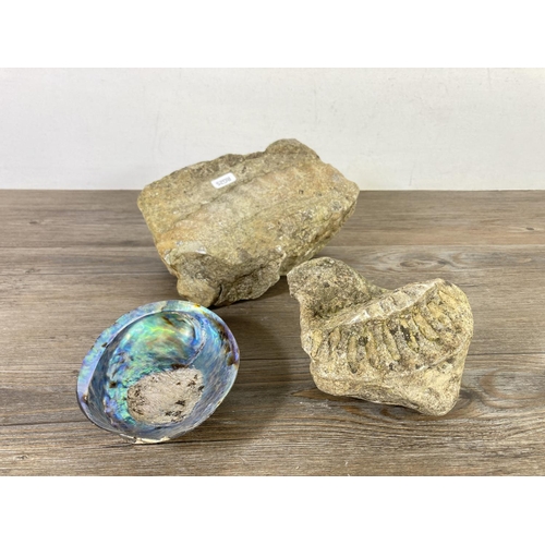 517 - Three items, two ammonite fossil fragments and one abalone seashell