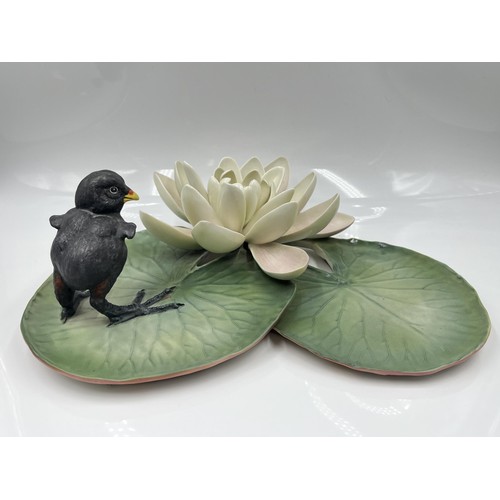 210 - A Royal Worcester Moorhen Chick and Water Lily limited edition 169/500 bone china model designed by ... 