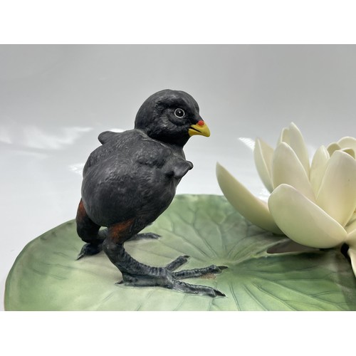 210 - A Royal Worcester Moorhen Chick and Water Lily limited edition 169/500 bone china model designed by ... 