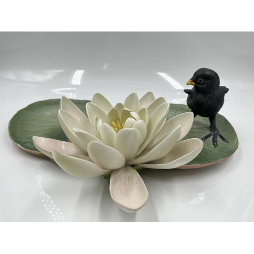 210 - A Royal Worcester Moorhen Chick and Water Lily limited edition 169/500 bone china model designed by ... 