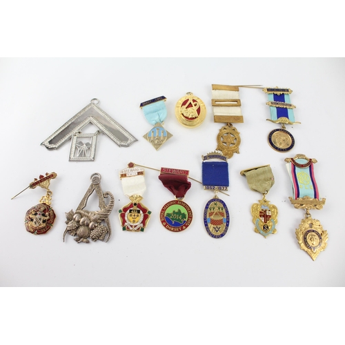 1255 - Twelve Masonic and RAOB jewels