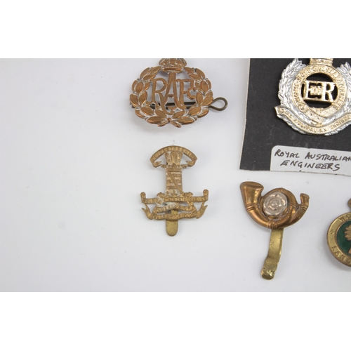 1262 - Ten military cap badges to include Women's Land Army, R.N.A.S etc.