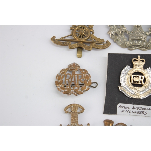 1262 - Ten military cap badges to include Women's Land Army, R.N.A.S etc.