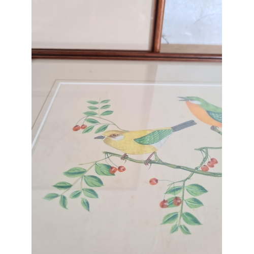 174 - Three framed bird paintings on silk - largest approx. 49cm high x 36cm wide