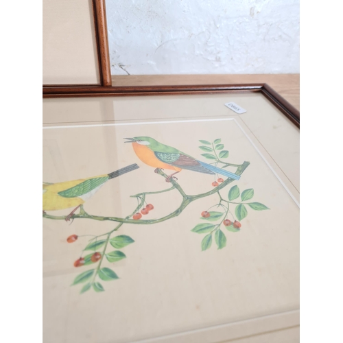 174 - Three framed bird paintings on silk - largest approx. 49cm high x 36cm wide