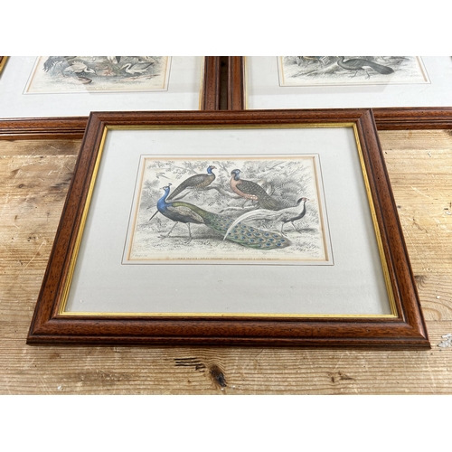 188 - Five Victorian framed coloured plate bird prints