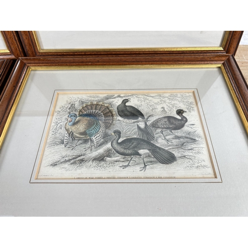 188 - Five Victorian framed coloured plate bird prints