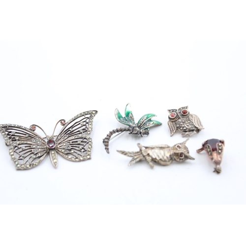 1160 - Five .925 silver animal brooches to include garnet and marcasite etc. - approx. gross weight 36 gram... 