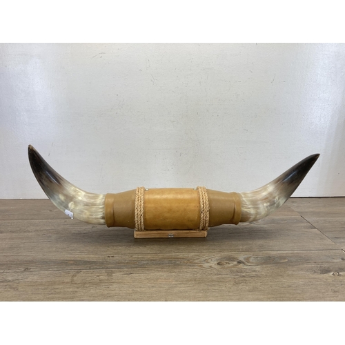 469 - A pair of mounted taxidermy bull horns - approx. 25.5cm high x 67cm long