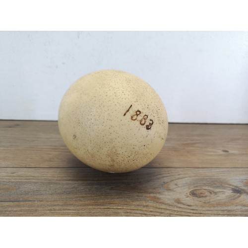 1477 - A 19th century ostrich egg - approx. 14cm high