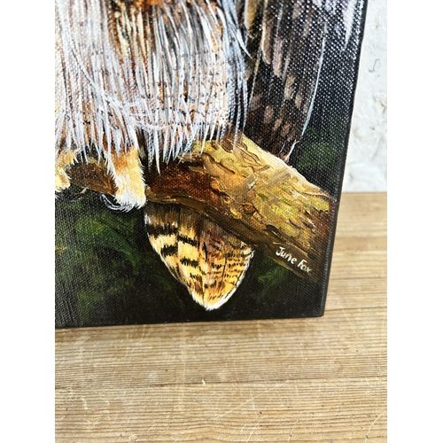 268 - A June Fox oil on canvas of an owl - approx. 50cm high x 20cm wide