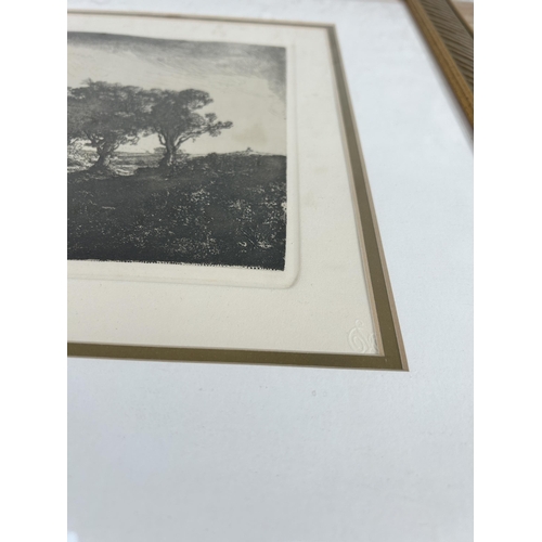 282 - A 19th century framed Amand Durand (1831-1905) etching after Rembrandt titled 'Three Trees' with cer... 