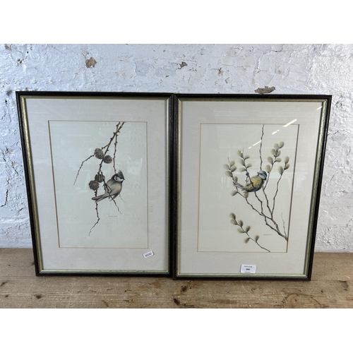 284 - Two framed Roger R. Buxton bird watercolours - approx. 46cm high x 35cm wide