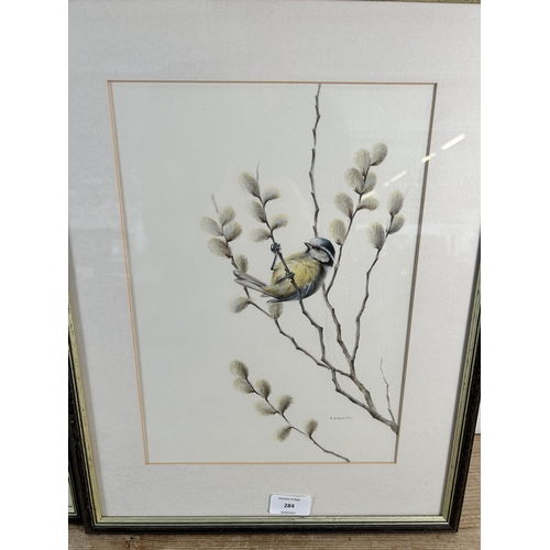 284 - Two framed Roger R. Buxton bird watercolours - approx. 46cm high x 35cm wide