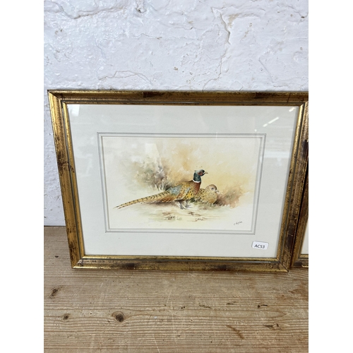 297 - Two framed C. Hughes pheasant scene watercolours - both approx. 28cm high x 35.5cm wide