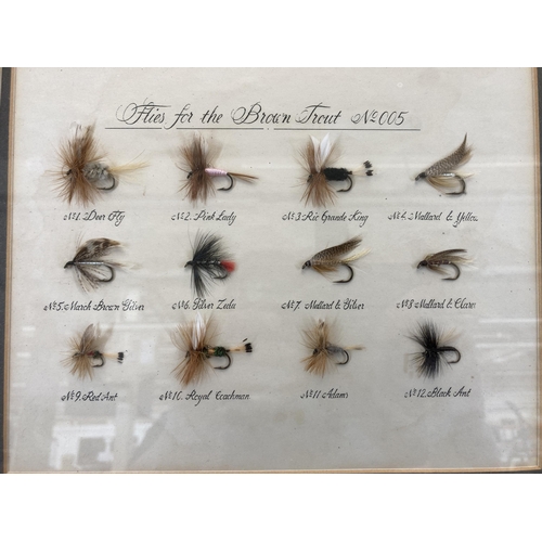 669 - A framed collection of fishing flies for brown trout - approx. 40cm high x 48cm wide