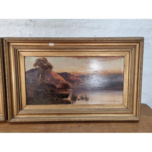 246 - Two gilt framed A. Newman landscape scene oil paintings - approx. 50cm high x 80cm wide