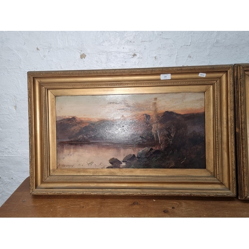 246 - Two gilt framed A. Newman landscape scene oil paintings - approx. 50cm high x 80cm wide