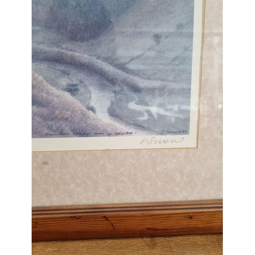 248 - A framed P. Snow pencil signed limited edition no. 321 of 600 print titled 