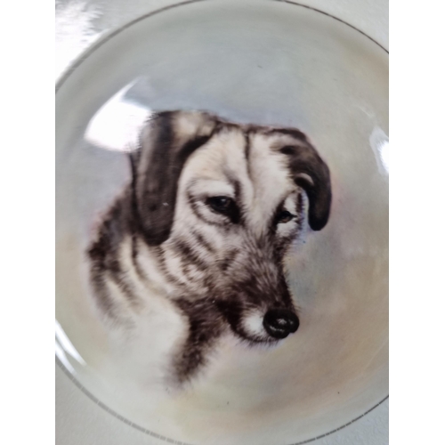 274 - A Minton Bridal Veil fine bone china plate with hand painted Lurcher scene by V. McNicholas and date... 