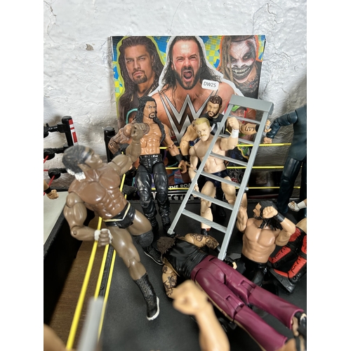 416 - A large collection of WWE wrestling action figurines and accessories to include over one hundred fig... 