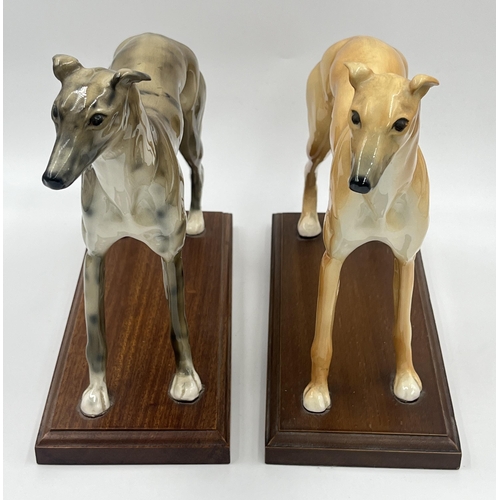 242 - Two ceramic figurines of greyhounds on mahogany plinths - approx. 22cm high x 10cm wide x 23cm long