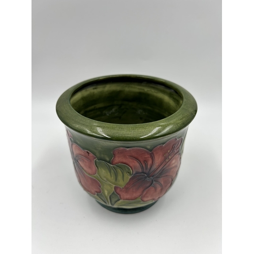 310 - A Moorcroft Hibiscus pattern planter - approx. 12cm high x 14cm diameter