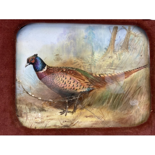 342 - A 19th century gilt framed hand painted porcelain wall plaque depicting pheasant scene - approx. 35c... 