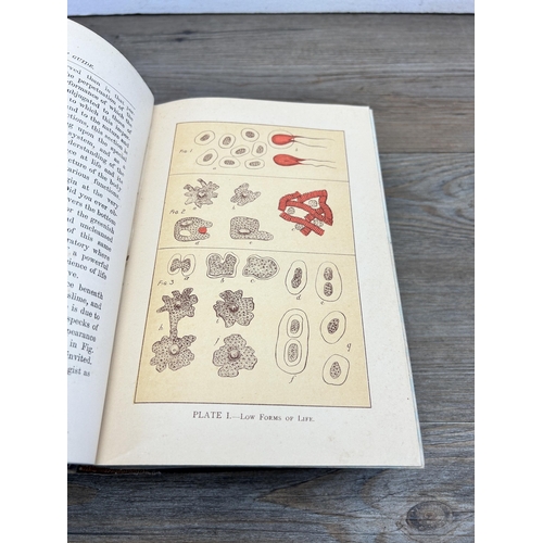 479 - A late 19th century Ladies' Guide In Health And Disease hardback book with coloured plates