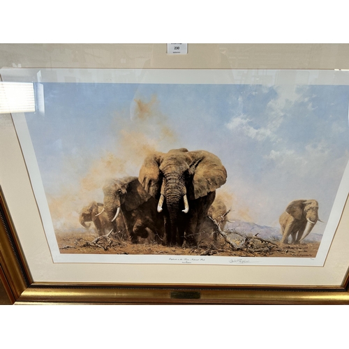 230 - A framed David Shepherd Elephants in the Tsavo National Park pencil signed limited edition 93/185 pr... 