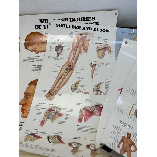 551 - Sixteen late 20th century educational anatomical posters by The Anatomical Chart Company - approx. 6... 