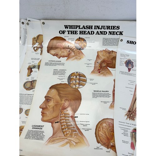 551 - Sixteen late 20th century educational anatomical posters by The Anatomical Chart Company - approx. 6... 