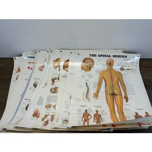 551 - Sixteen late 20th century educational anatomical posters by The Anatomical Chart Company - approx. 6... 