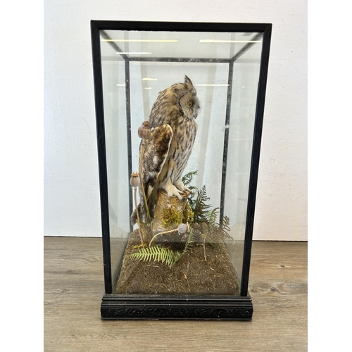 642 - A vintage cased taxidermy Eurasian eagle-owl - approx. 50cm high x 28cm wide x 28cm deep