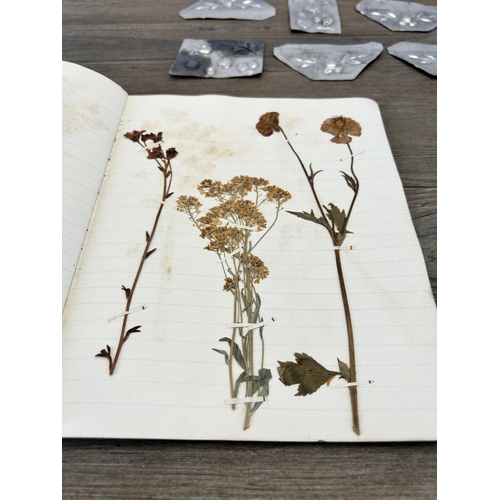 653A - A 1930s Herbarium book containing various preserved specimens